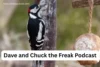 Dave and Chuck the Freak Podcast: Full Guide 2025 - Post Thumbnail